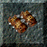 Bracelets de defense CA8