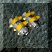 Bracelets de defense CA6