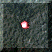 Bille +2