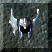 Casque d'alignement oppos